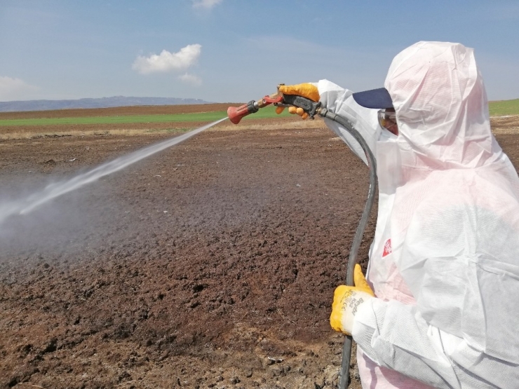 Çorum’da Vektörel Mücadele Çalışmaları Sürüyor