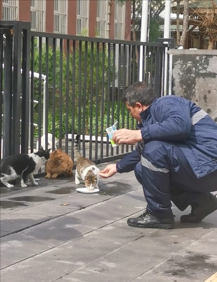 Dükkanlar Kapandı, Sokak Hayvanlarının İmdadına Temizlik Ekipleri Yetişti