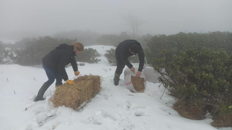 Mart Karı Ekipleri Hareketlendirdi