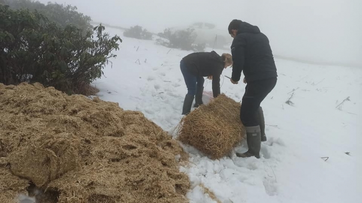 Mart Karı Ekipleri Hareketlendirdi