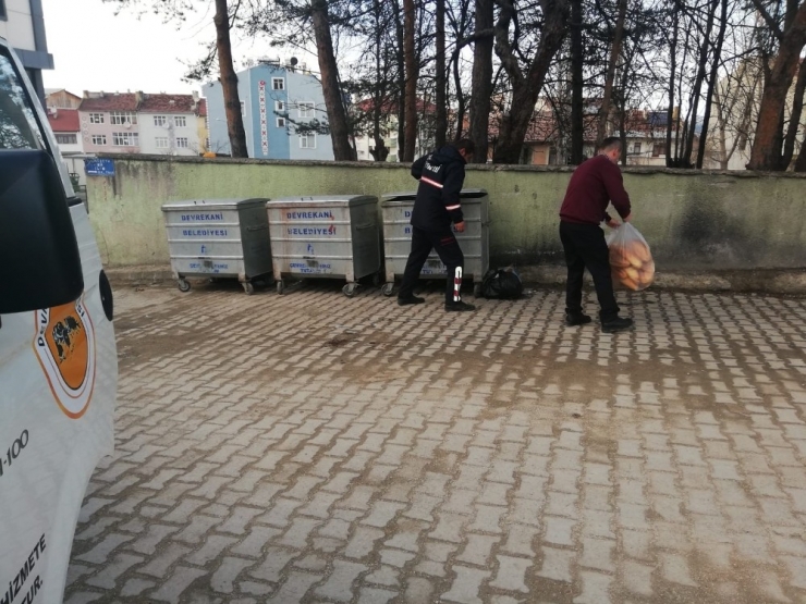 Vatandaşlar, Evden Çıkamayınca Sokak Hayvanlarını Belediye Ekipleri Doyurdu