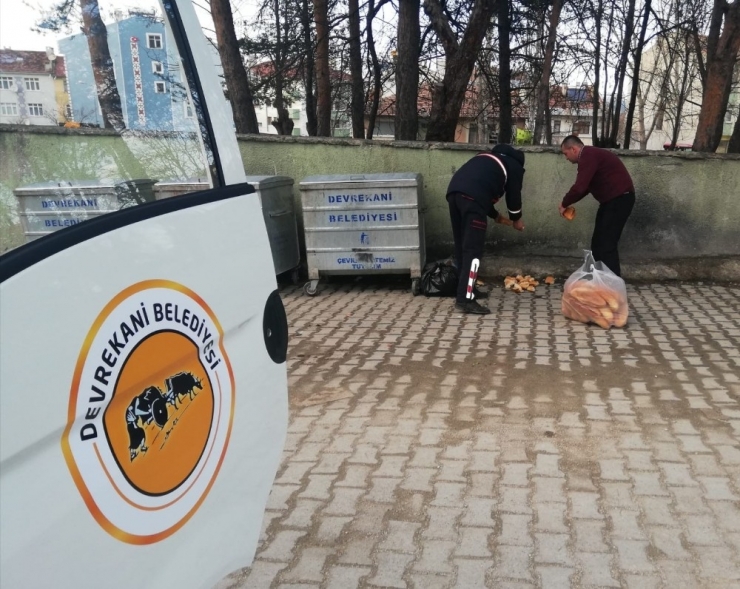 Vatandaşlar, Evden Çıkamayınca Sokak Hayvanlarını Belediye Ekipleri Doyurdu