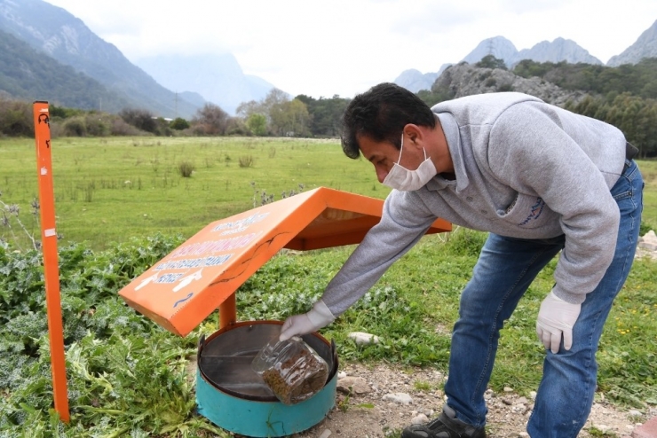 Konyaaltı’ndan Sokak Hayvanlarına Mama Ve Su Takviyesi