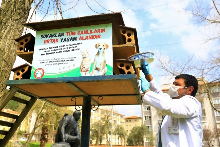 Büyükşehir’den Can Dostlara Mama Ve Su Takviyesi