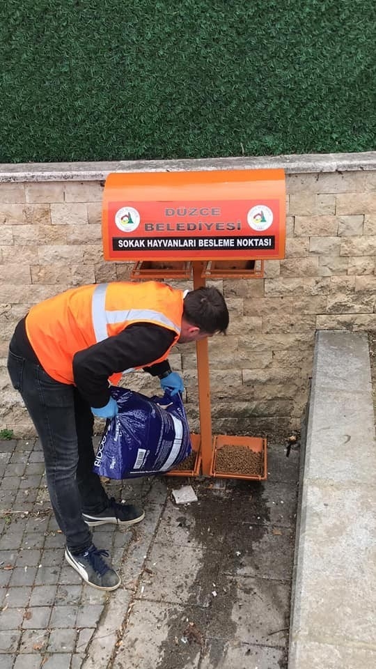 Hayvanların Yemlikleri Dezenfekte Edildi Yem Bırakıldı