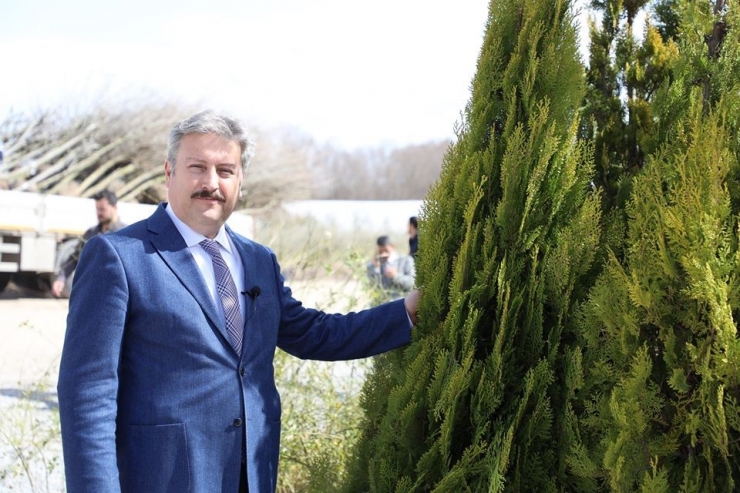 “Fidan Değil Ağaç Dikiyoruz"