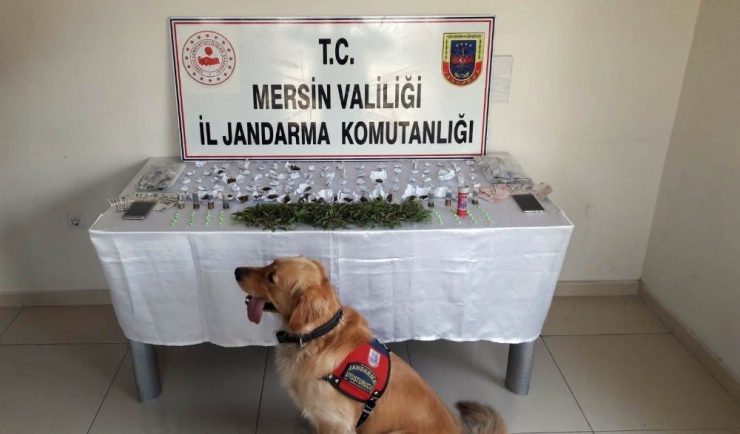 Mersin’de Uyuşturucu Operasyonu: 5 Gözaltı