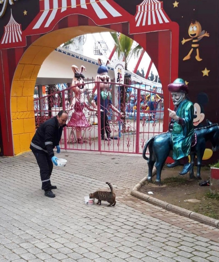 Can Dostlar Osmangazi’ye Emanet