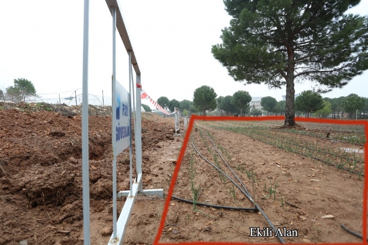 Rektör Bağ’dan Biyom Arazisinde Yapılan Alt Yapı Çalışmalarıyla İlgili Açıklama: