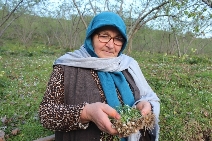 Yılda 2 Ay Yetişiyor, Tezgahları Ve Sofraları Süslüyor