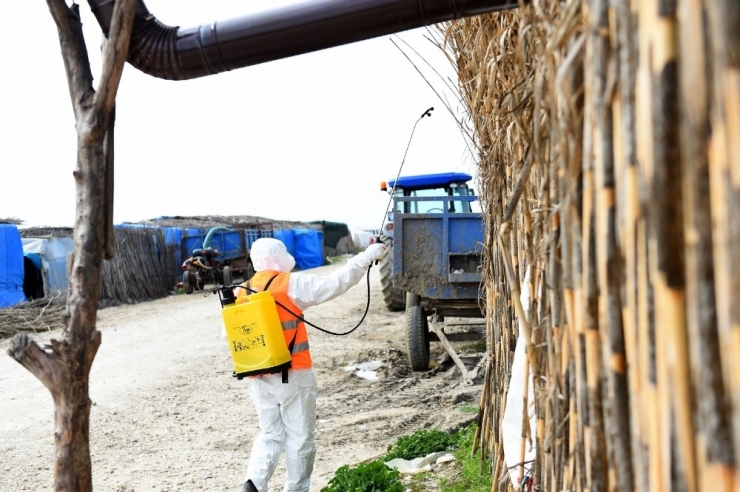 Tarım İşçilerinin Çadırları Dezenfekte Edildi