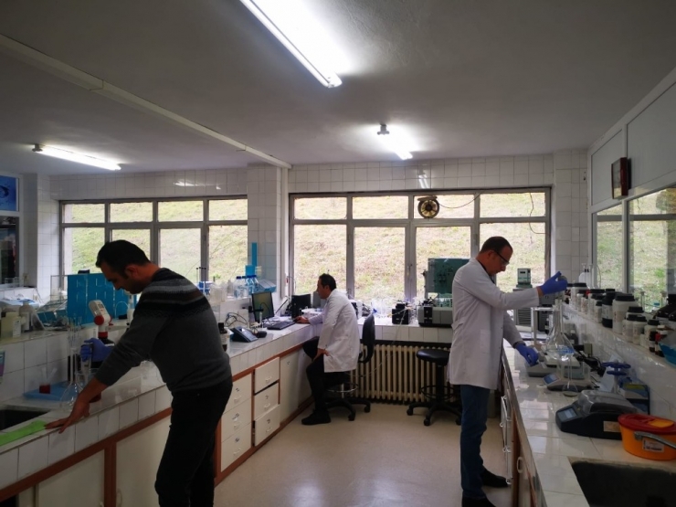 Tiski Dezenfektan Üretti