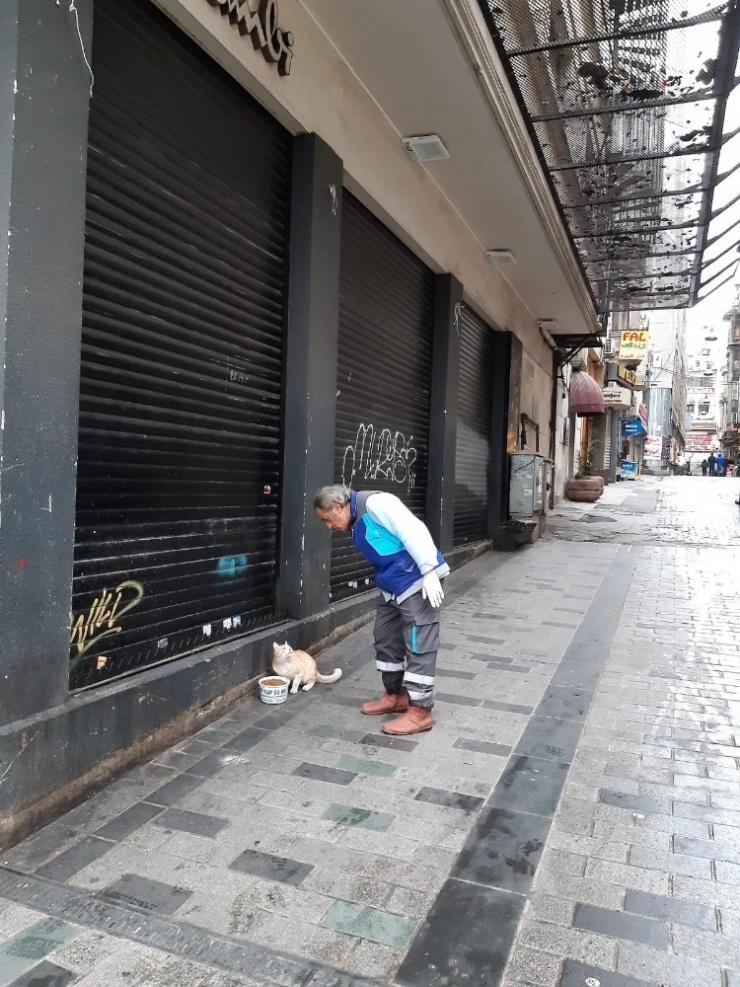 Beyoğlu’nda Sokak Hayvanları Unutulmadı