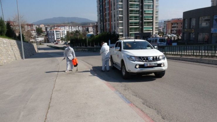 Karabük’te Çekirge İstilası Korkuttu