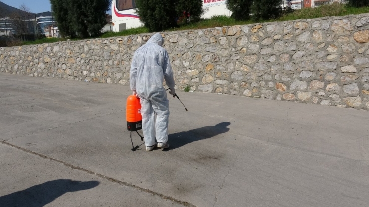 Karabük’te Çekirge İstilası Korkuttu