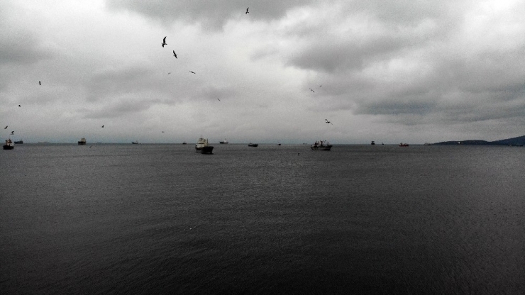 Korona Virüs Nedeniyle Sahiller Martılara Kaldı