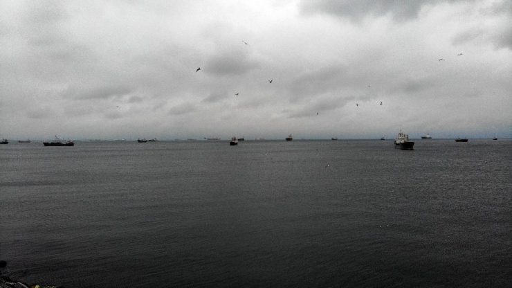 Korona Virüs Nedeniyle Sahiller Martılara Kaldı