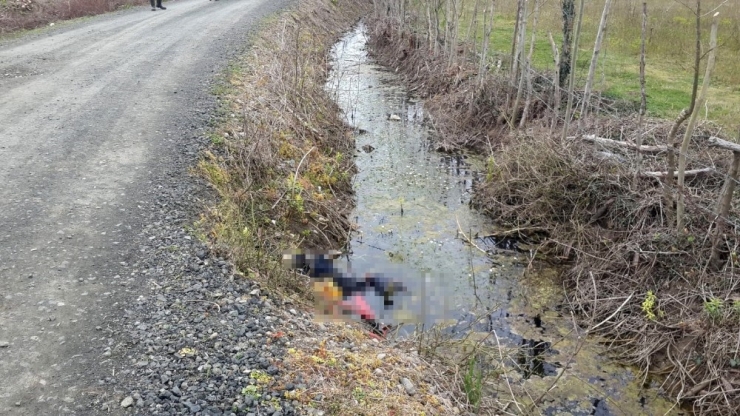 Kayıp Şahıs Su Kanalında Ölü Bulundu