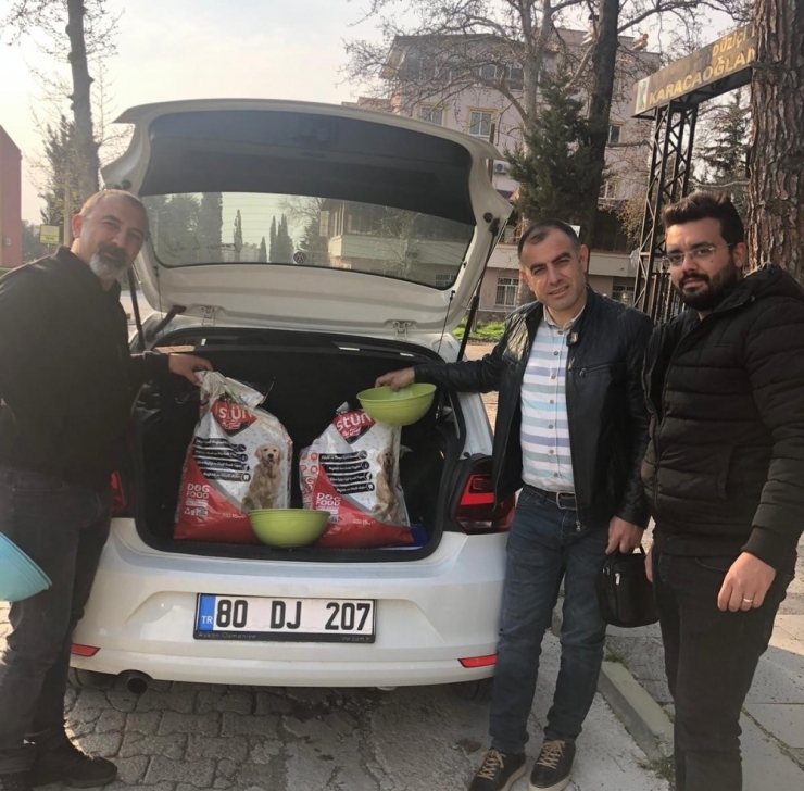 Sokak Hayvanları İçin Mama Bıraktılar