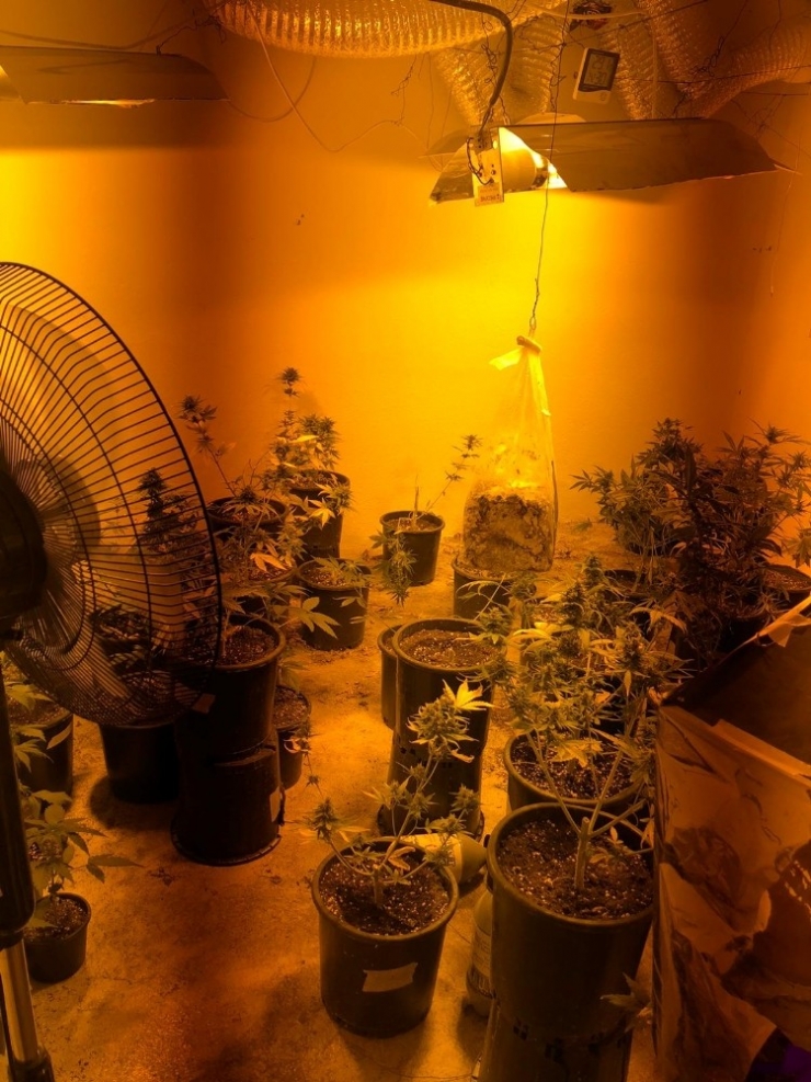 Uyuşturucu Serasına Çevrilen Eve Polis Baskını