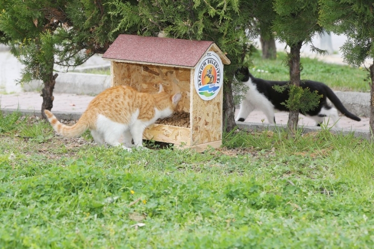 Atakum’da ‘Can Dostlar’ Unutulmadı