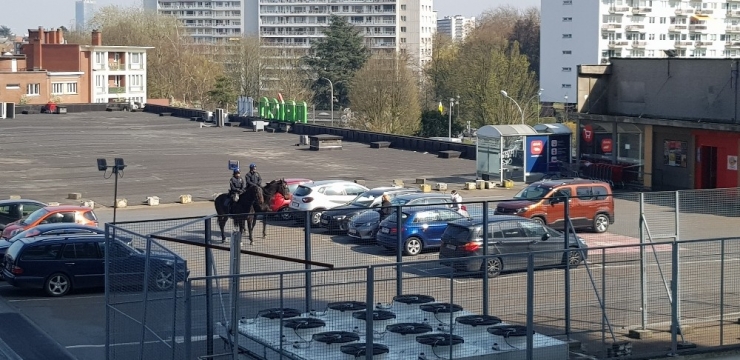 Belçika’da Atlı Polislerden "Korona" Denetimi