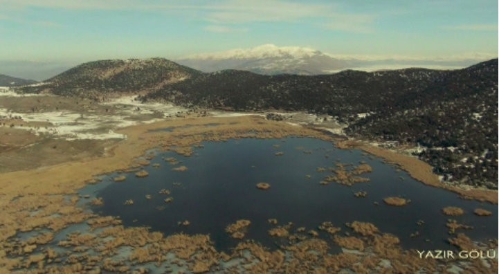 Kış Ortası Su Kuşu Sayımları Gerçekleştirildi