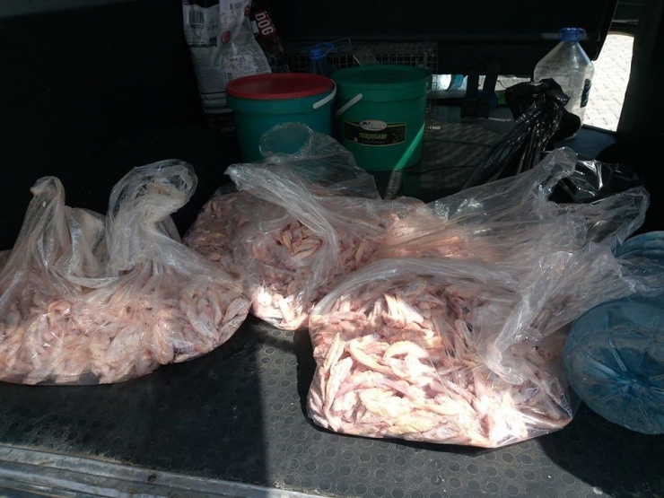 Didimli Hayvanseverler Sokak Hayvanlarını Unutmadı