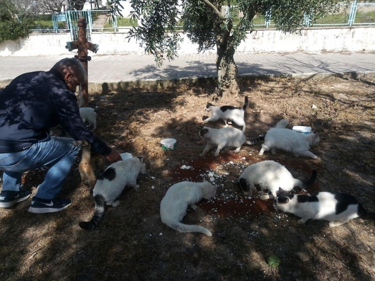 Didimli Hayvanseverler Sokak Hayvanlarını Unutmadı