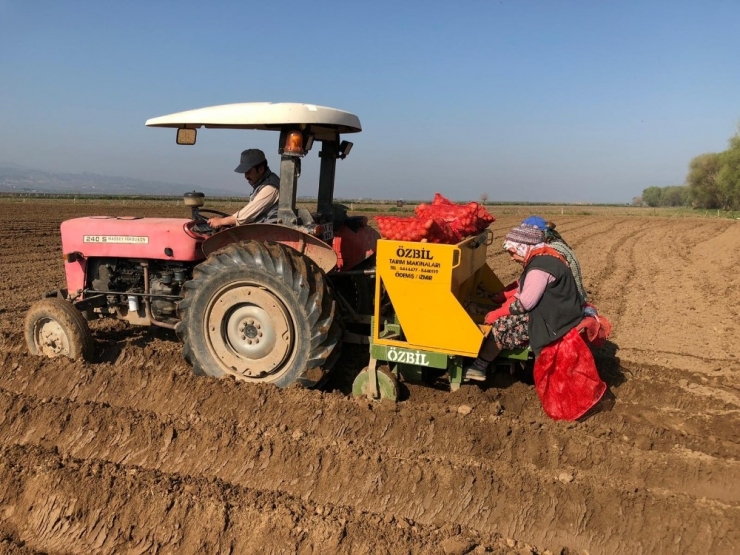 Hayatın Devamı İçin Çiftçi Üretmeye Devam Ediyor