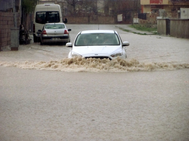 Sarımsak Diyarı Araban Sele Teslim