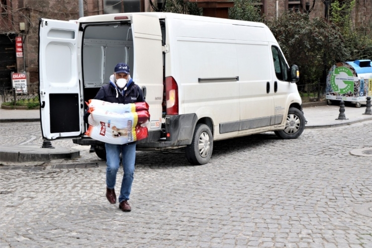 Kocaeli’de Sokak Hayvanlarına 3 Ton Mama Takviyesi