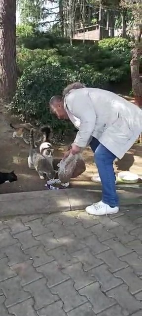 Hayvansever, Sokak Hayvanlarını Beslemek İçin Evinden Çıktı