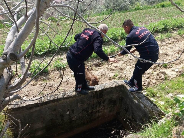 Sulama Kuyusuna Düşen Yavru Köpeği İtfaiye Kurtardı