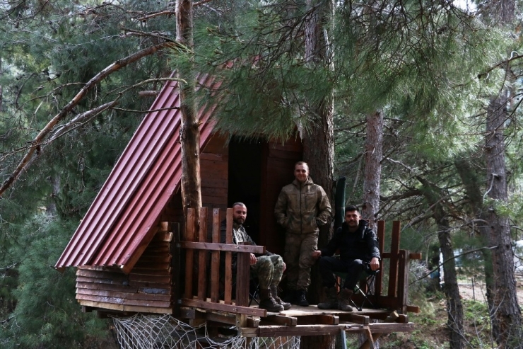 Korona Virüsünden Ağaç Tepesine Yaptıkları Evde Korunuyorlar