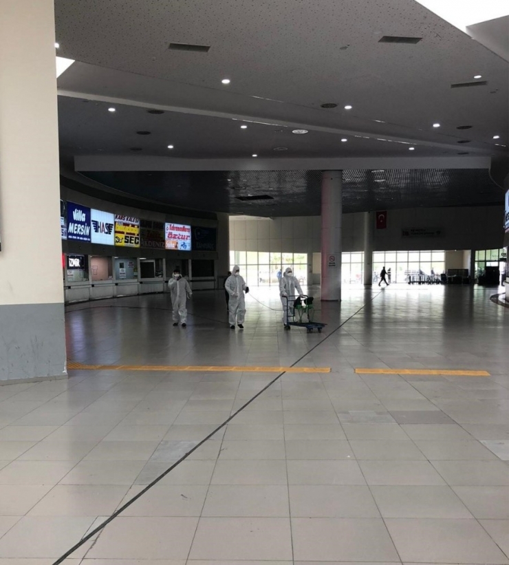 Büyükşehir Belediyesi Meşot’u Dezenfekte Ediyor