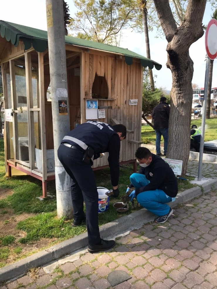Ortaca Belediyesinden ‘Can Dostlara’ Mama Ve Su Takviyesi