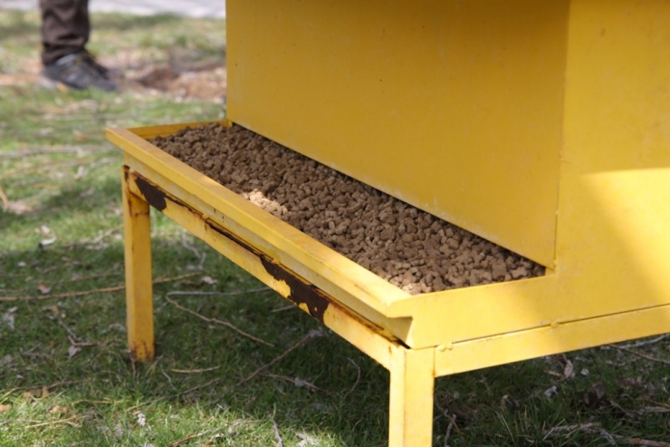 Sokak Hayvanları İçin Mesire Alanlarına Yem Ve Su Bırakıldı