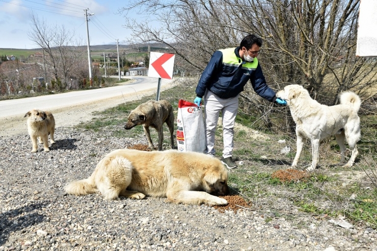 Can Dostlar Unutulmuyor