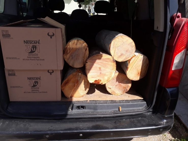 Toroslar Belediyesi, Ağaç Kesen Esnafa Para Cezası Uyguladı