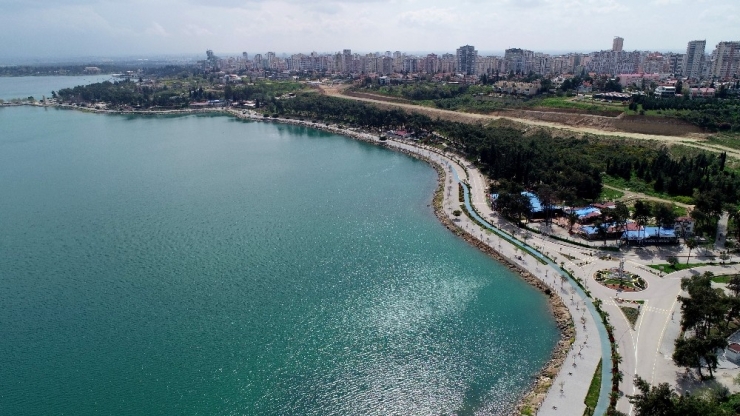 Korona Korkusu Mangal Tutkusunu Yendi