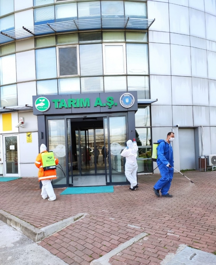 Sağlıklı Gıda İçin Üst Düzey Tedbir