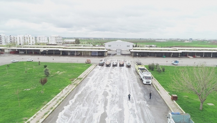 Meyve Sebze Haline Köpüklü Dezenfekte