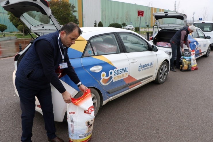 Büyükşehir Ekipleri, Sokak Hayvanları İçin Mama Gezdiriyor