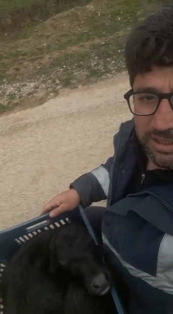 Anne Mandanın Yavru Sevgisi