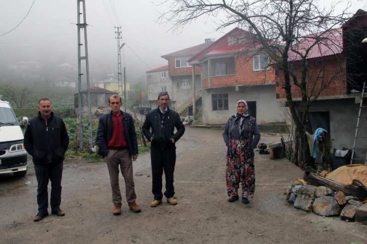 Giresun’da Köylüleri Endişelendiren Göç Dalgası