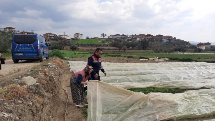 Jandarma Kolları Sıvadı, Tarlada Yaşlı Teyzeye Yardım Eli Uzattı