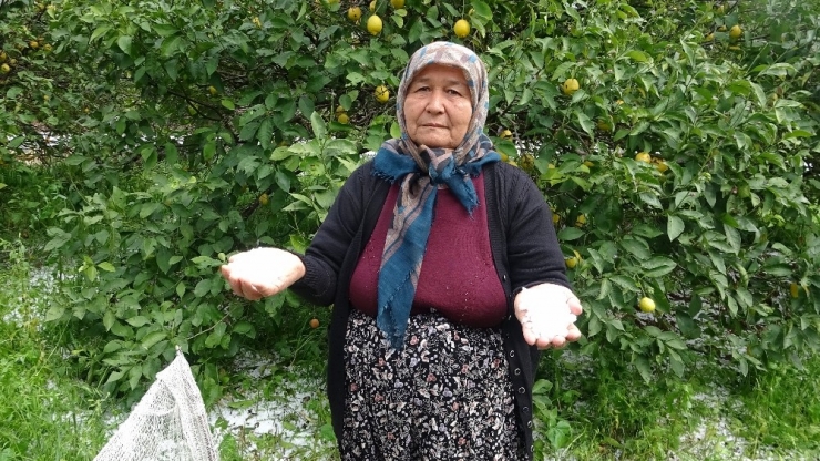 Mersin’de Şiddetli Dolu Yağışı