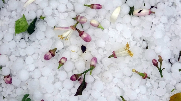 Mersin’de Şiddetli Dolu Yağışı