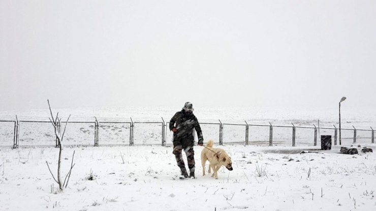 Sivas’a Kar Yağdı, Verilen Mesajlarda Korona Vardı
